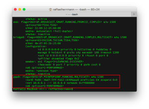 Zugriff auf externe IPs im VPN in Mac OSX (2)